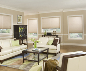 cellular-shades-13 cellular-shades-13