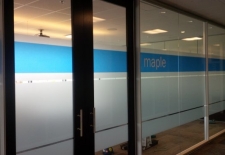 Frosted graphics with transparent blue vinyl (2)