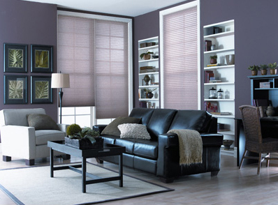 pleated-shades1 pleated-shades1