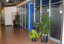 Vevet Texture decorative film