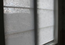 Sunglow - Sheer Floral  roller shade