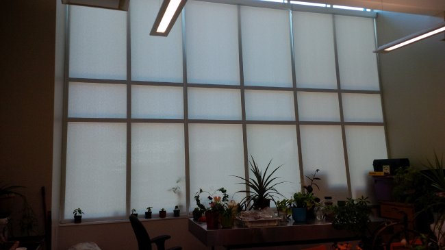 roller-shades-on-angled-glazing