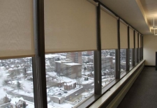 Commercial Application - Roller Shades