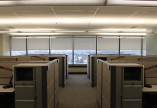 Commercial Application - Roller Shades